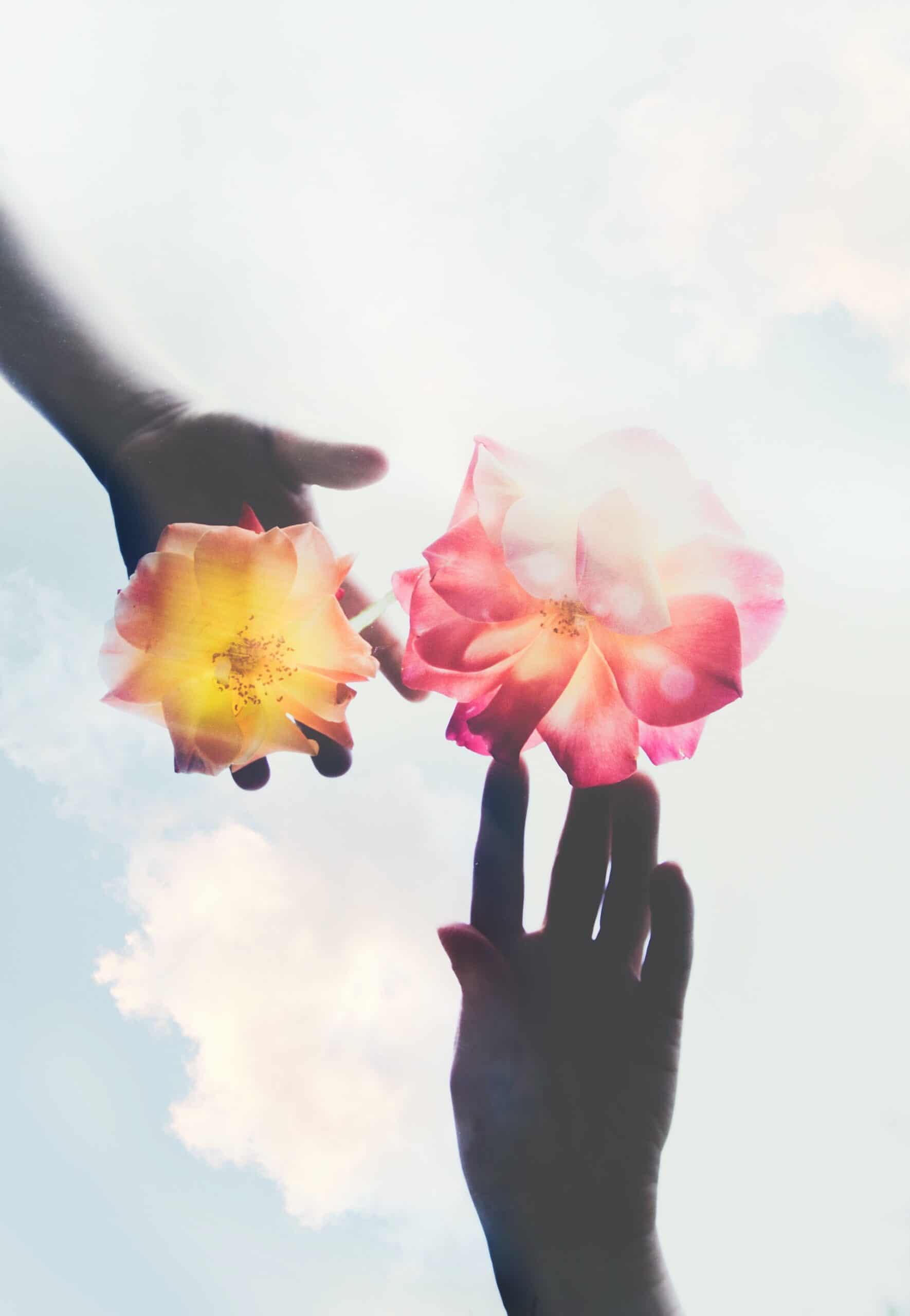 evie-s-wYpgRt0qZkk-unsplash